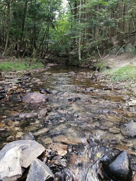 f:id:Montanhanq:20210726174647j:plain