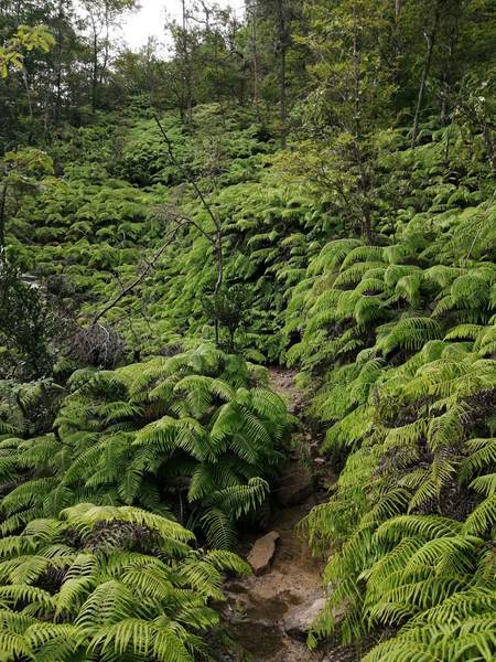 f:id:Montanhanq:20210726174716j:plain