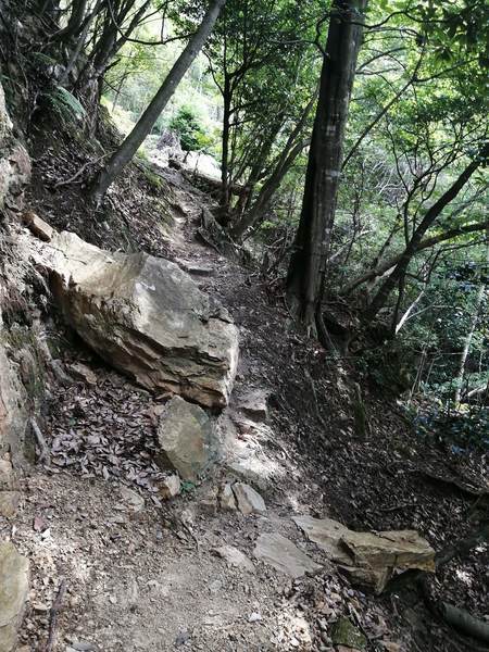 f:id:Montanhanq:20210726174828j:plain