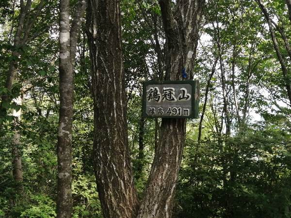 f:id:Montanhanq:20210726174903j:plain