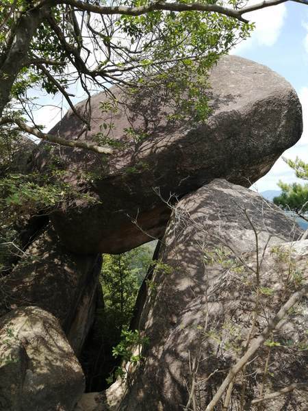 f:id:Montanhanq:20210726174938j:plain