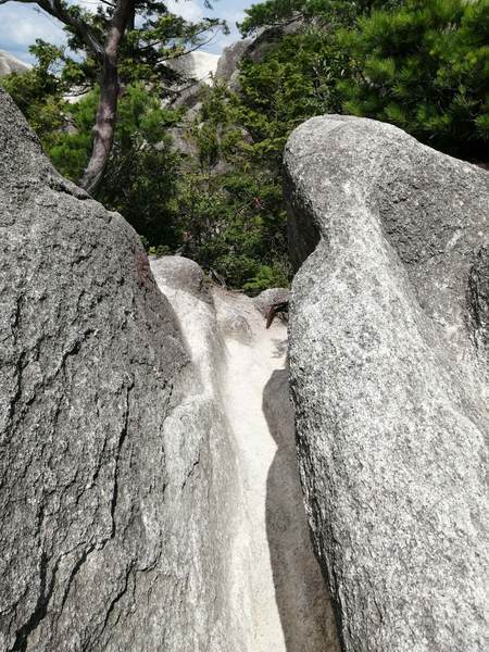 f:id:Montanhanq:20210726175122j:plain