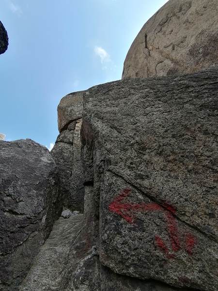 f:id:Montanhanq:20210726175141j:plain