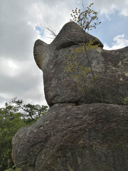 f:id:Montanhanq:20210726175347j:plain