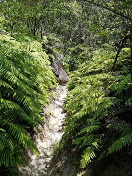 f:id:Montanhanq:20210726175711j:plain