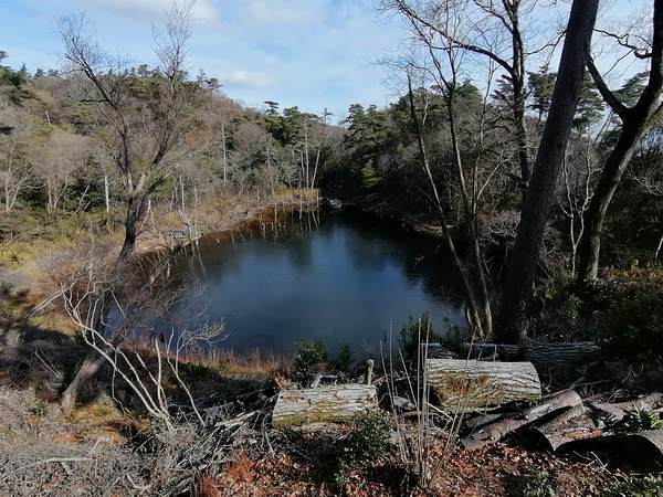 f:id:Montanhanq:20220115184315j:plain