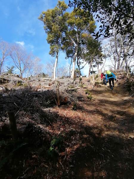 f:id:Montanhanq:20220115184321j:plain