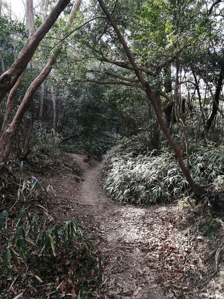 f:id:Montanhanq:20220115184415j:plain