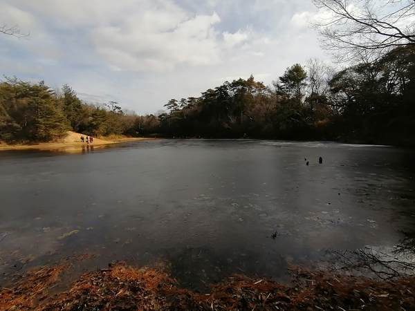 f:id:Montanhanq:20220115184427j:plain