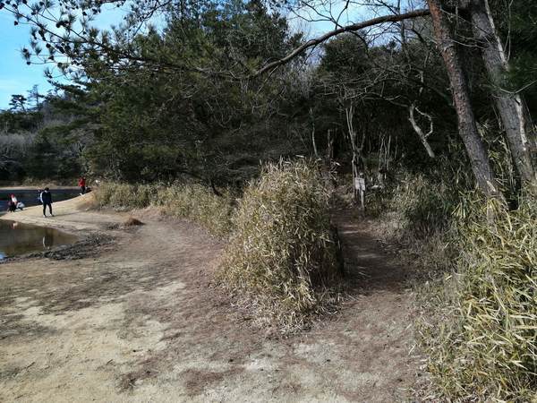 f:id:Montanhanq:20220115184448j:plain