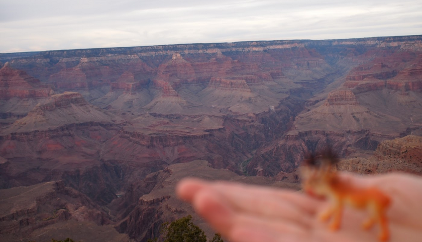 3歳 1歳子連れグランドキャニオン旅行 ホテルとフライト24万円分無料化の完全ガイド 駐在員へらじかのアメリカ生活 子育て マイルの記録