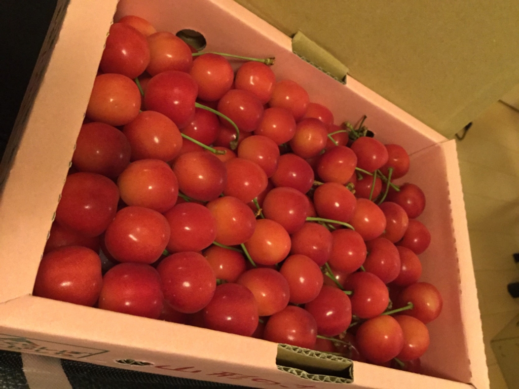 f:id:MoriKen254:20160703135859j:plain