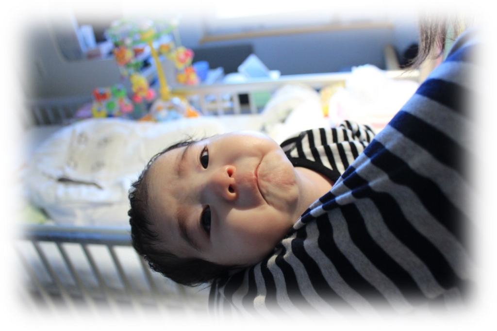 f:id:MoriKen254:20161229003040j:plain f:id:MoriKen254:20161229003040j:plain