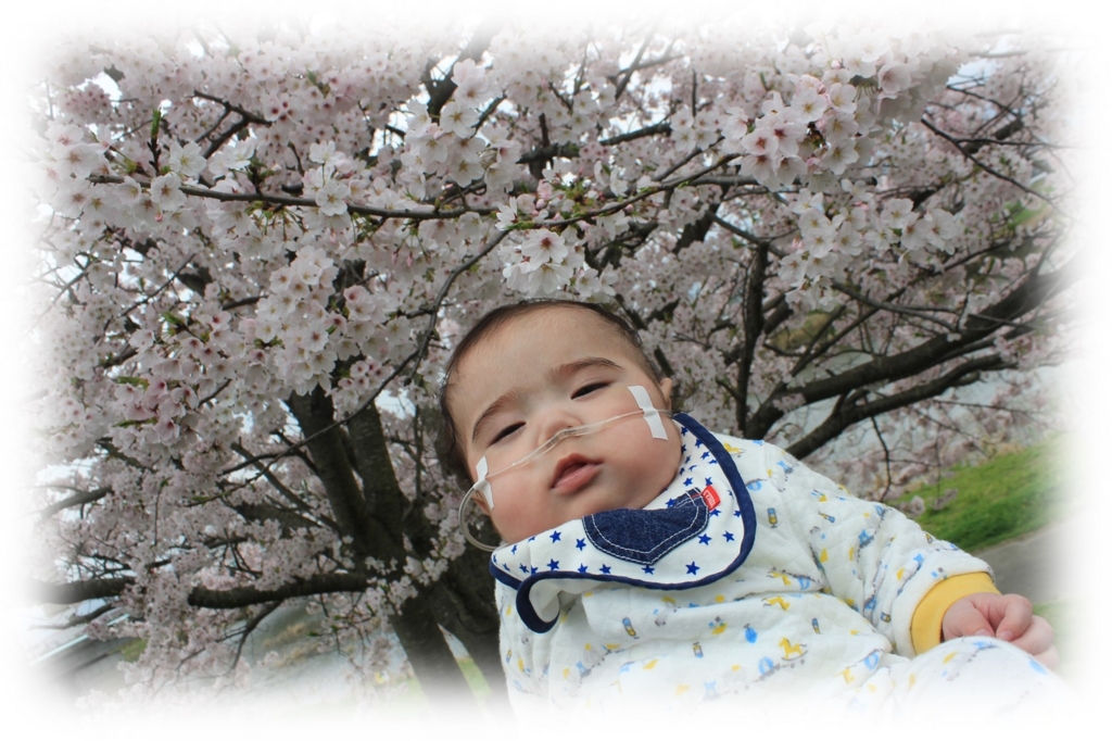 f:id:MoriKen254:20170505010947j:plain