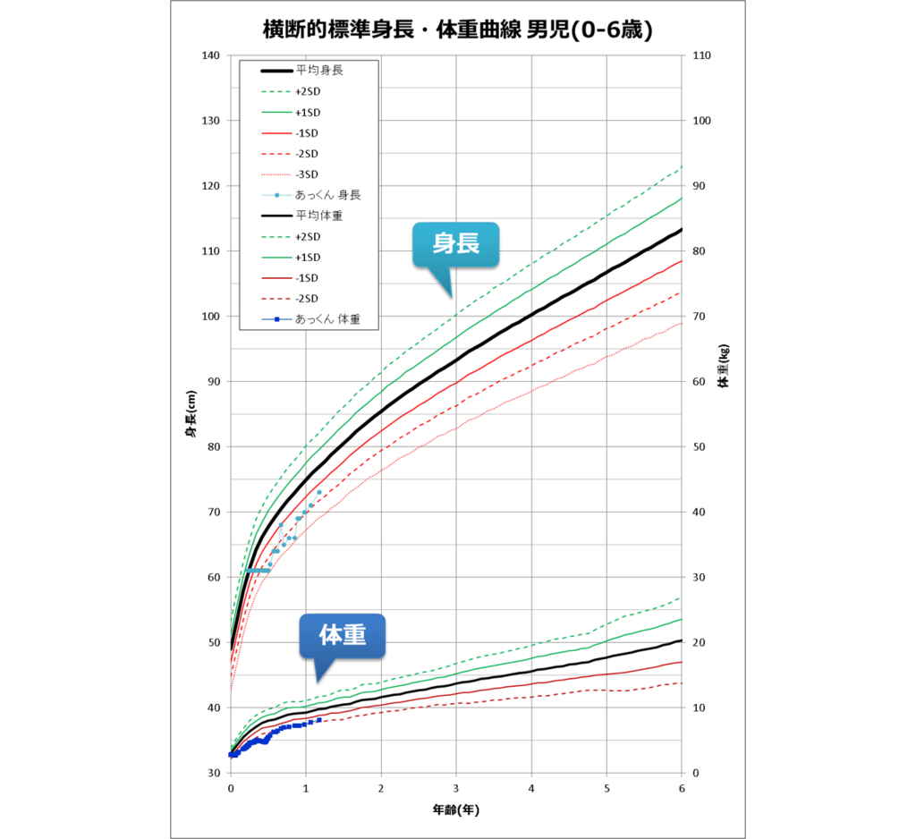一 歳 体重 平均 1歳半 1歳6ヶ月 の成長と発達は 身長と体重は 言葉の目安は