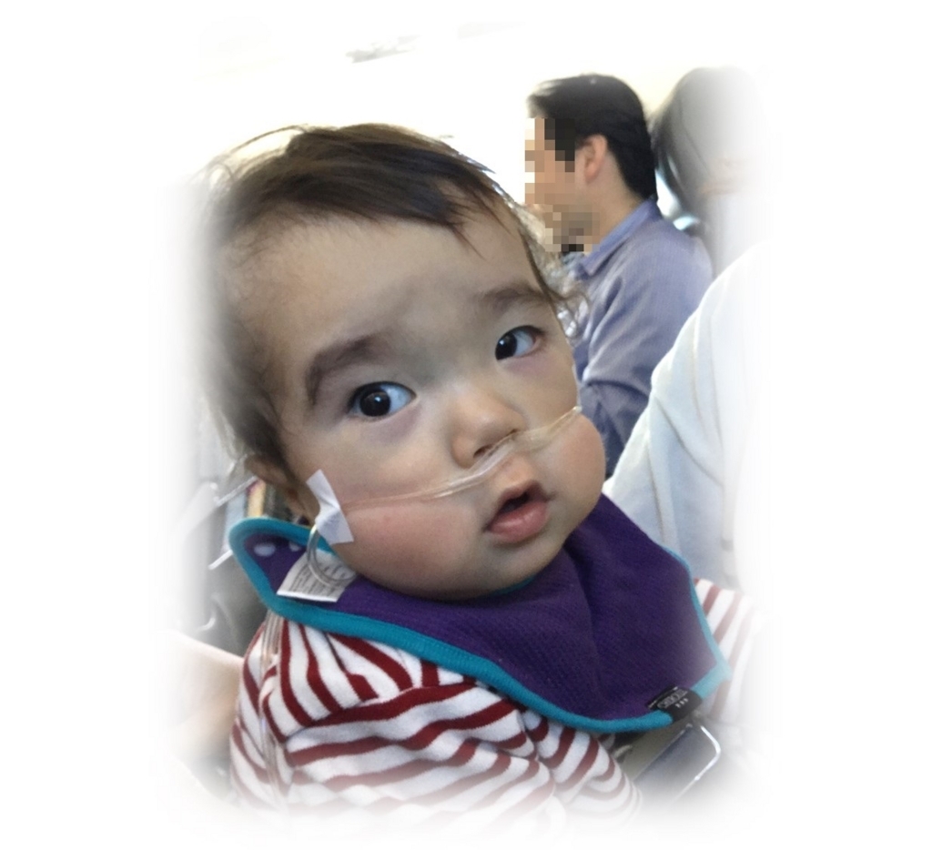 f:id:MoriKen254:20171112210116j:plain f:id:MoriKen254:20171112210116j:plain