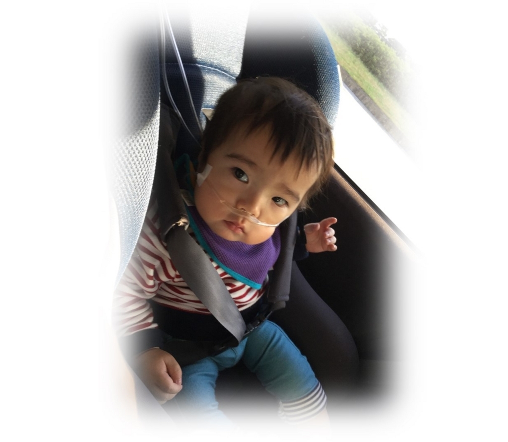 f:id:MoriKen254:20171112215450j:plain f:id:MoriKen254:20171112215450j:plain
