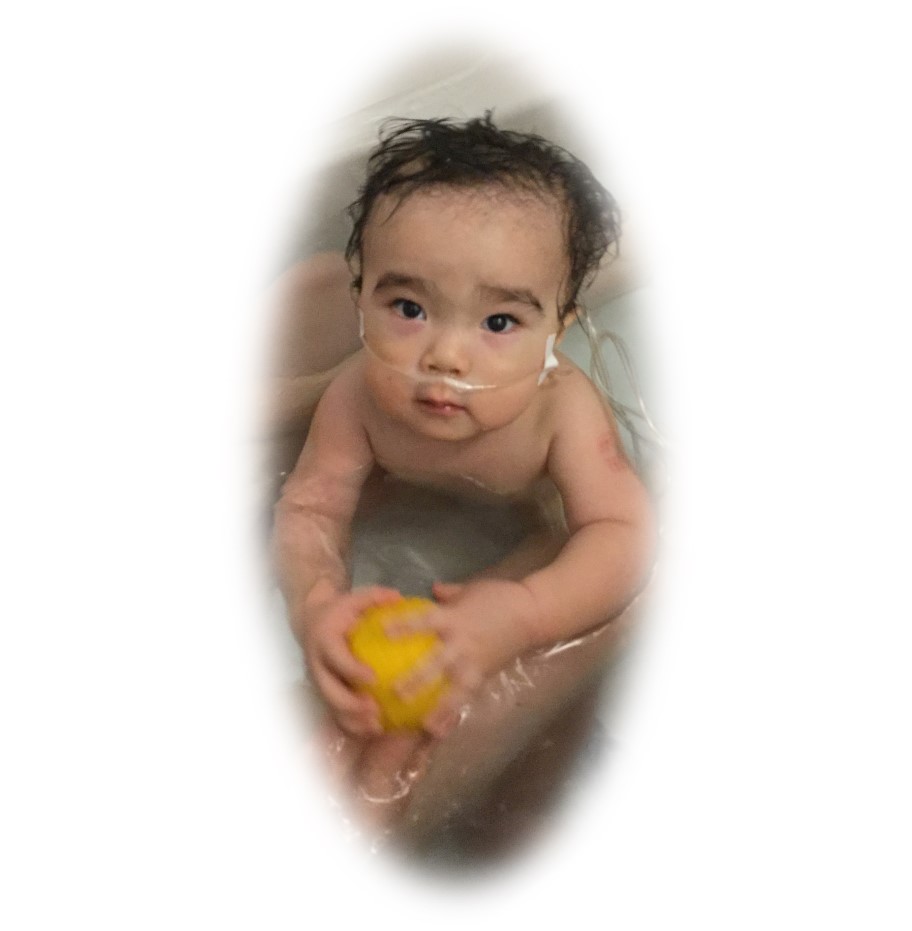 f:id:MoriKen254:20180102235342j:plain f:id:MoriKen254:20180102235342j:plain