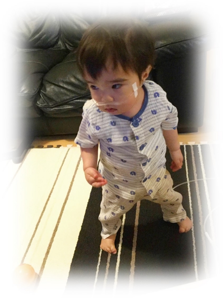 f:id:MoriKen254:20180625225939j:plain f:id:MoriKen254:20180625225939j:plain