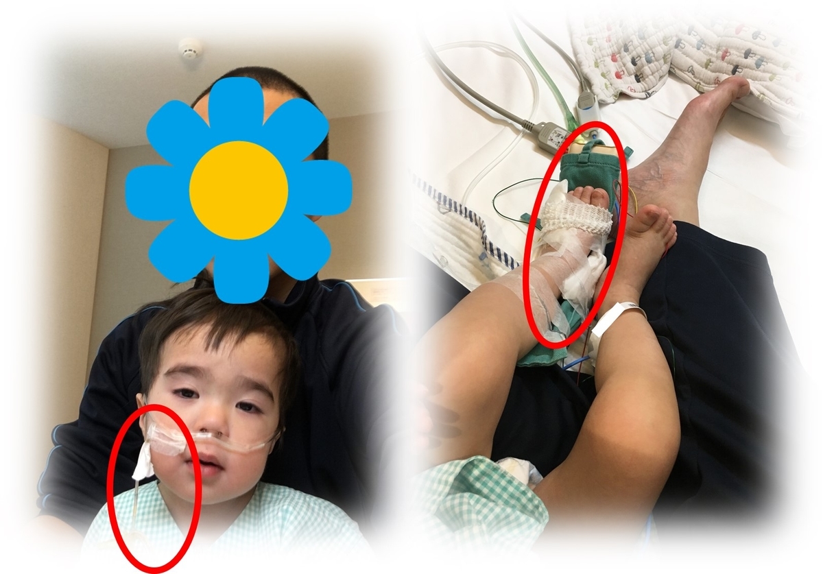 f:id:MoriKen254:20190322012802j:plain f:id:MoriKen254:20190322012802j:plain