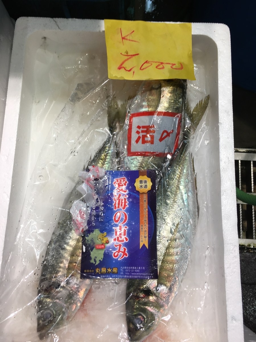 豊パト 愛海の恵 あみのめぐみ アジ 魚河岸マニア
