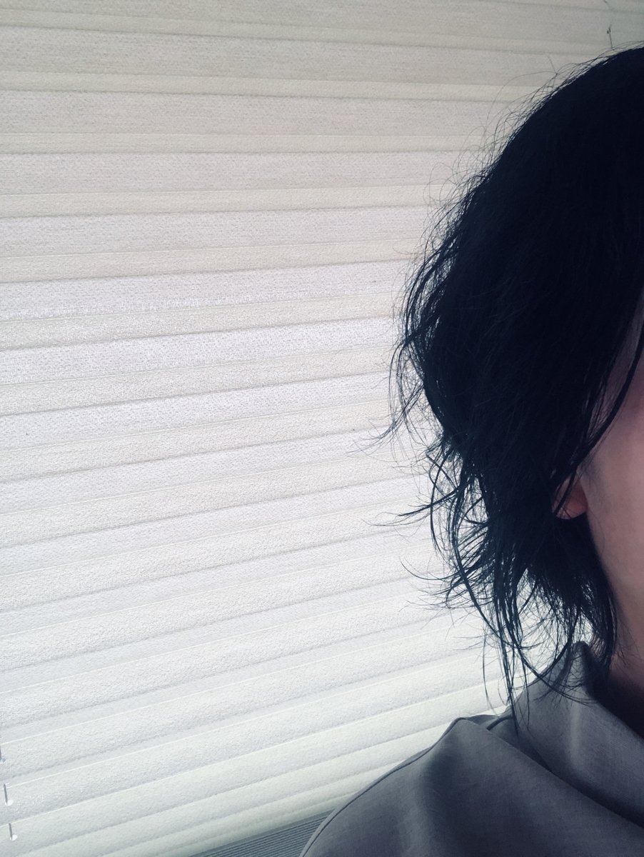 f:id:Morisam:20200822143805j:plain f:id:Morisam:20200822143805j:plain