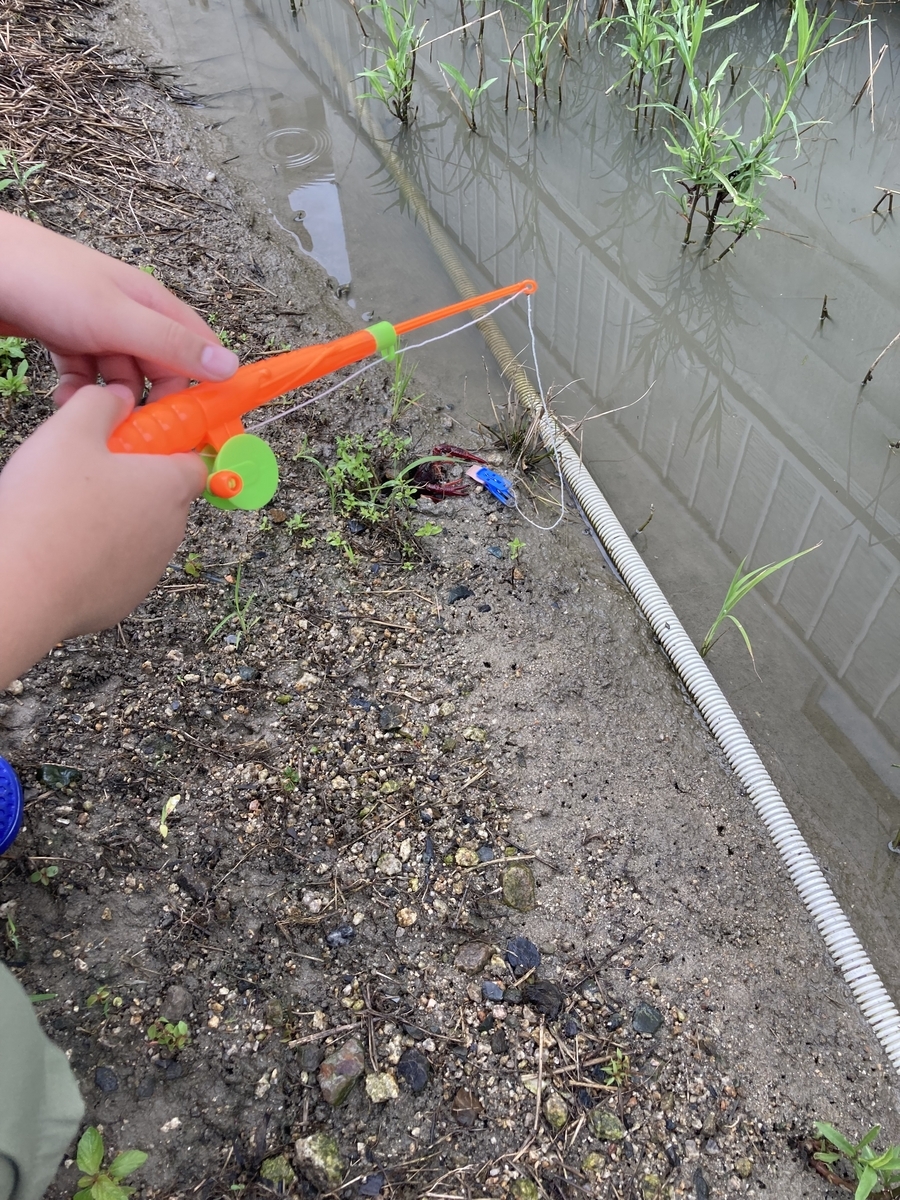 セリア】ザリガニの釣り竿がオモロい - あるもので暮らす