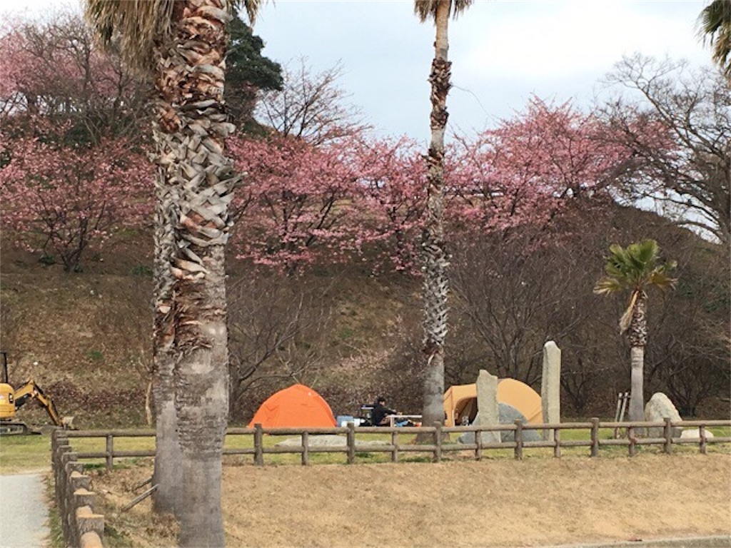 f:id:Morning-Glory:20190216221835j:image f:id:Morning-Glory:20190216221835j:image