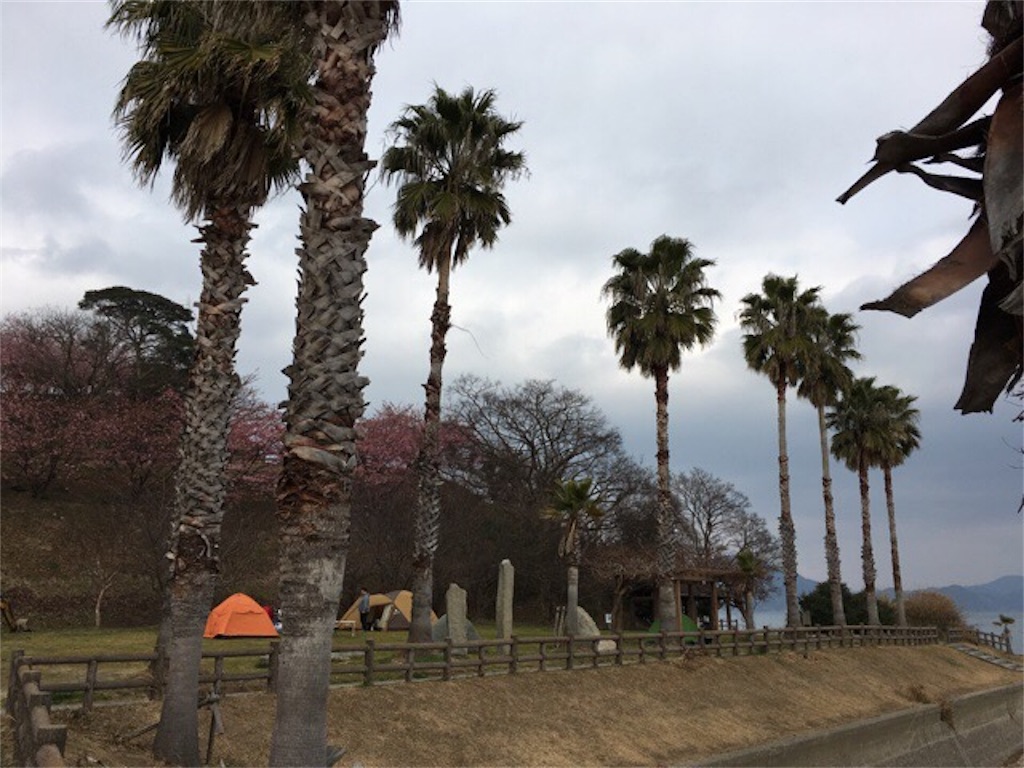 f:id:Morning-Glory:20190216221843j:image f:id:Morning-Glory:20190216221843j:image