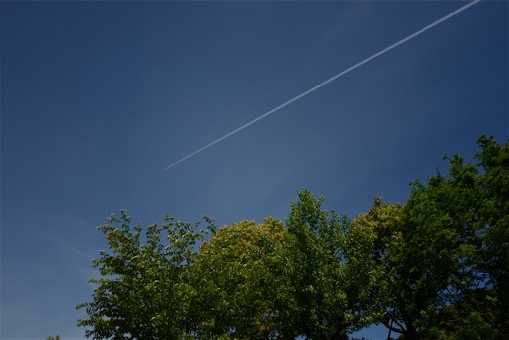 f:id:Morning-Glory:20200509160412j:image f:id:Morning-Glory:20200509160412j:image
