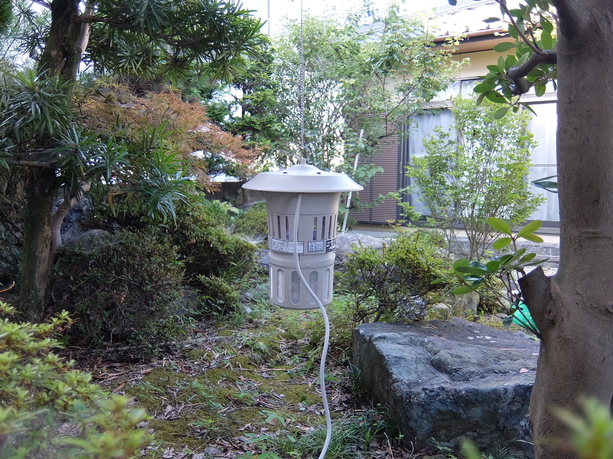 f:id:MosquitoHunter:20210726212052j:plain