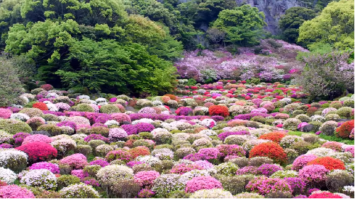 f:id:MossanJP:20190306224800p:plain