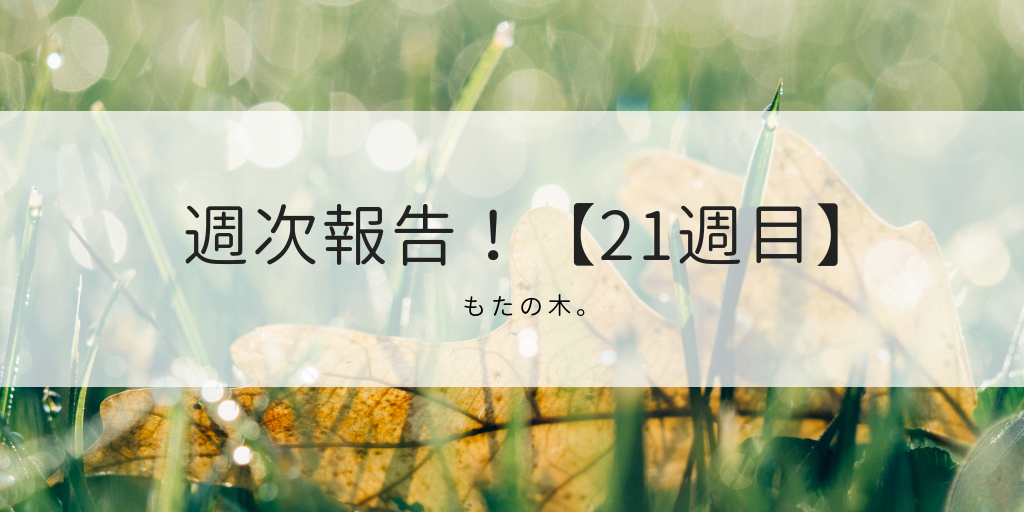 f:id:Mota-moneytree:20190410082026p:image f:id:Mota-moneytree:20190410082026p:image