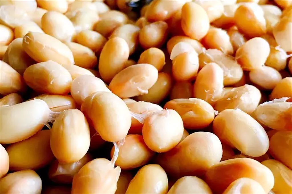 f:id:MoteCooking:20210220024622j:image f:id:MoteCooking:20210220024622j:image