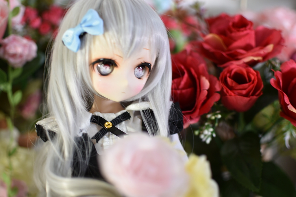 f:id:Moti:20190127223745j:plain