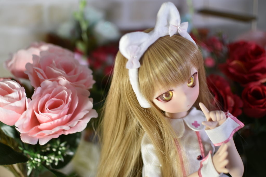 f:id:Moti:20190129224328j:plain