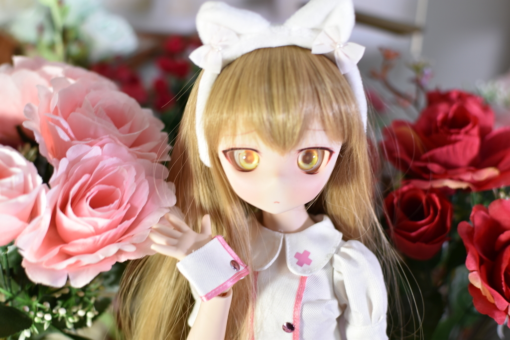 f:id:Moti:20190129224357j:plain