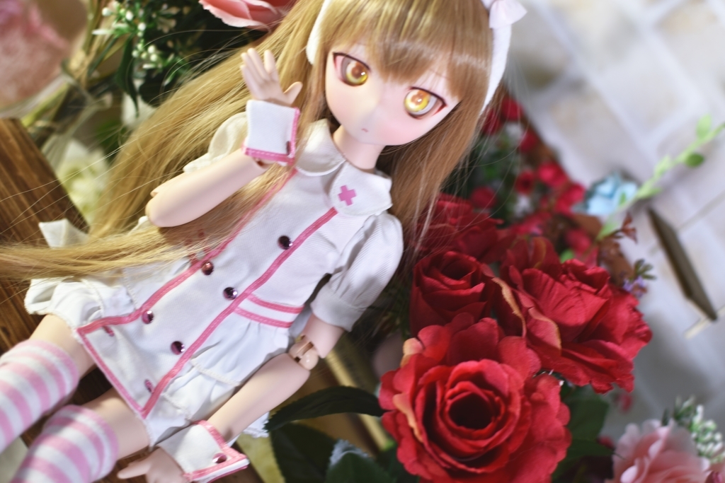 f:id:Moti:20190129224403j:plain