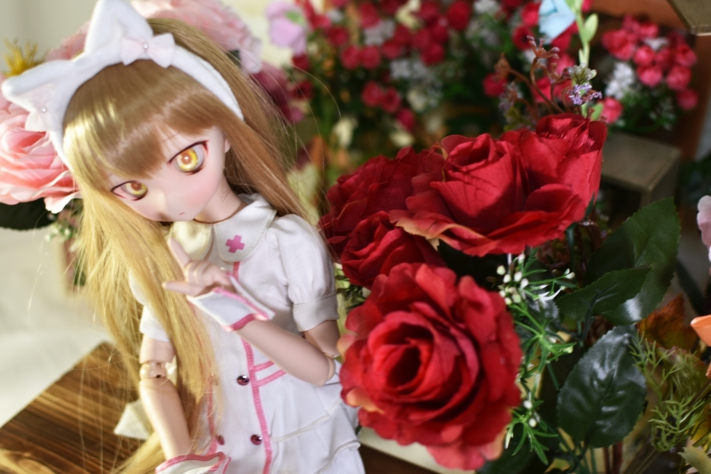 f:id:Moti:20190129224413j:plain