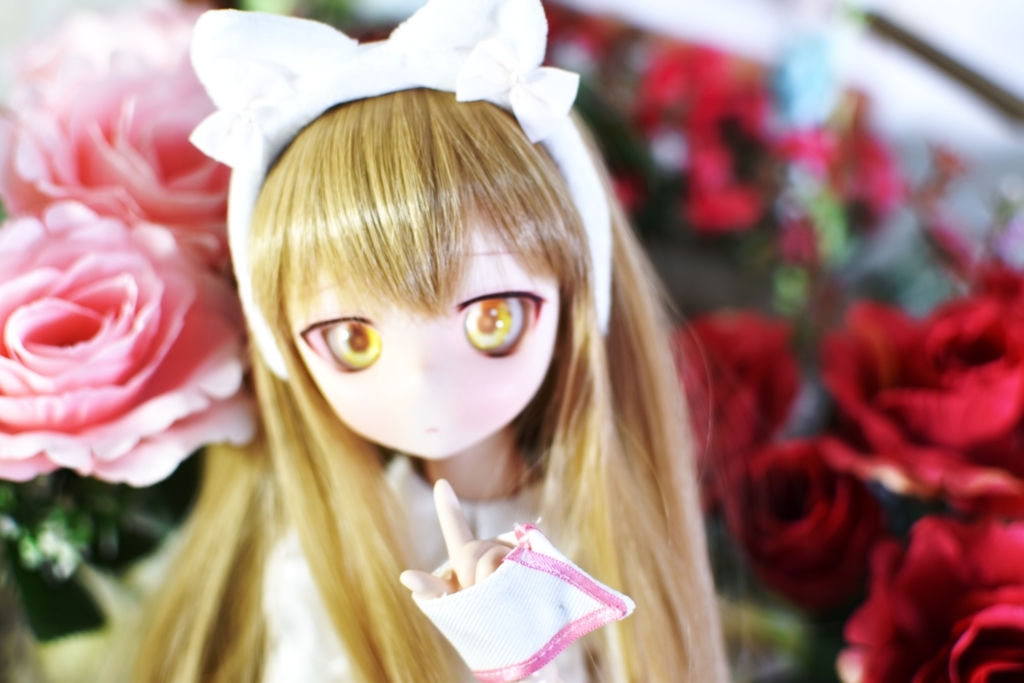 f:id:Moti:20190131224049j:plain