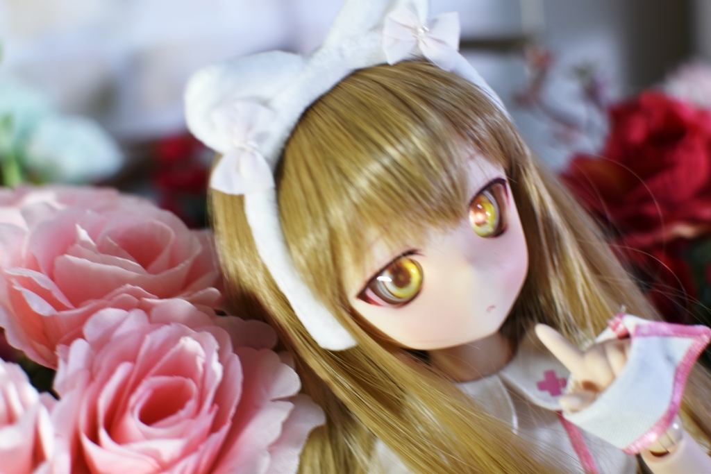f:id:Moti:20190131224116j:plain