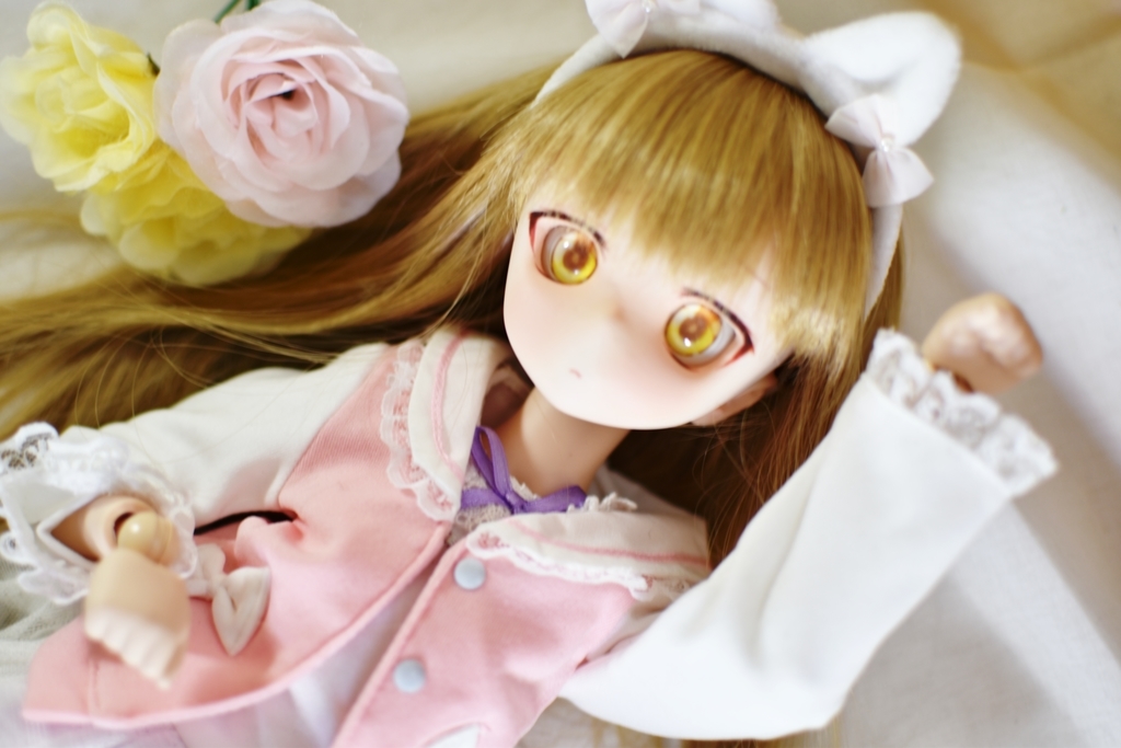 f:id:Moti:20190131232918j:plain