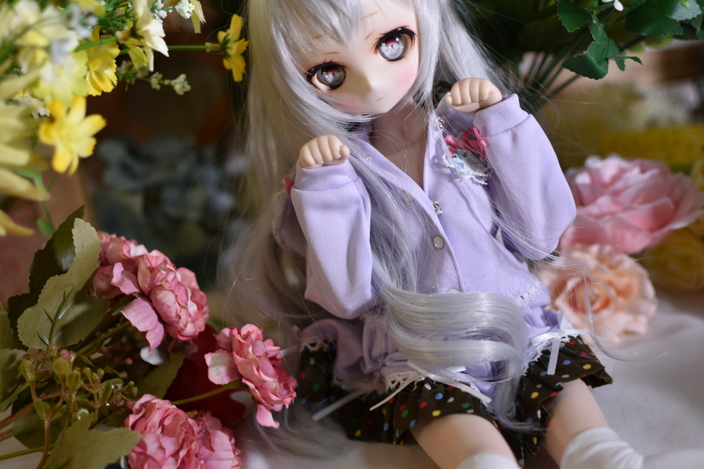 f:id:Moti:20190301215125j:plain