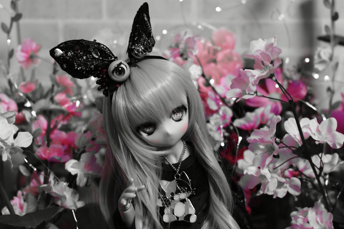 f:id:Moti:20190407193535j:plain