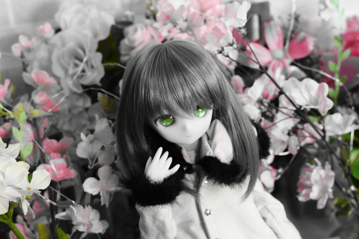 f:id:Moti:20190414195457j:plain