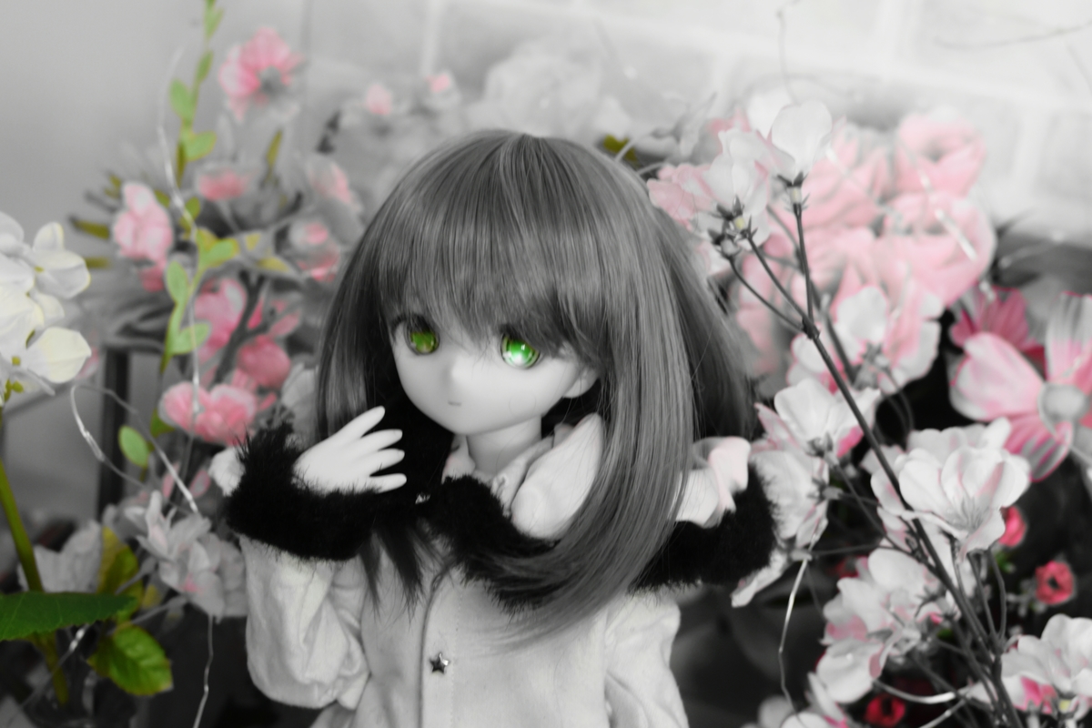 f:id:Moti:20190414195511j:plain