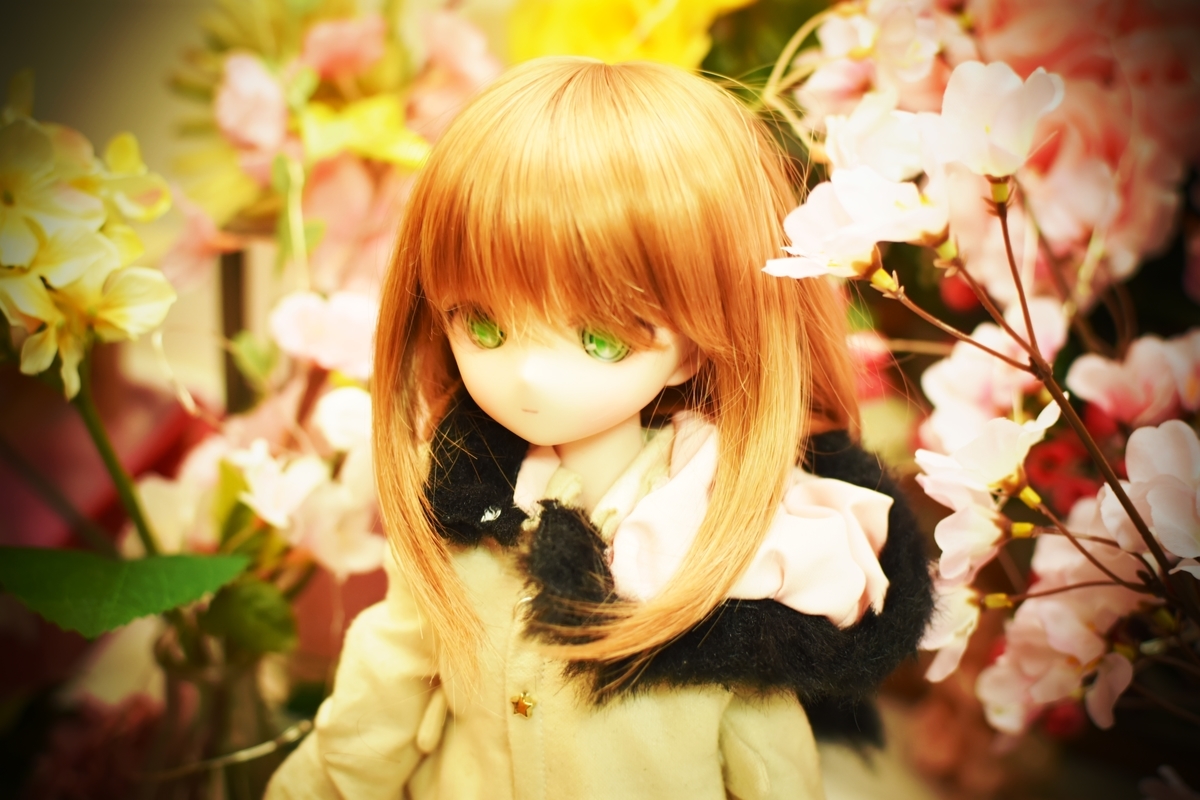 f:id:Moti:20190414195619j:plain