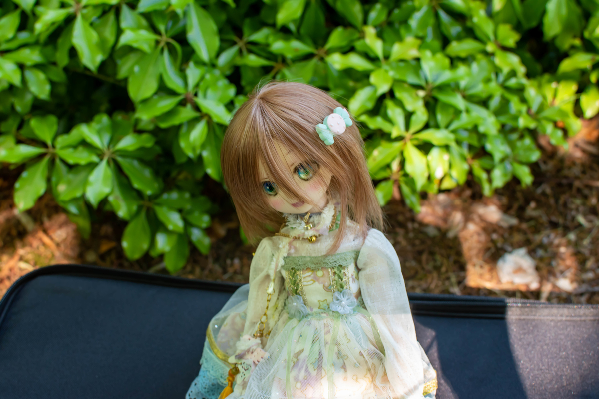 f:id:Moti:20190612232438j:plain