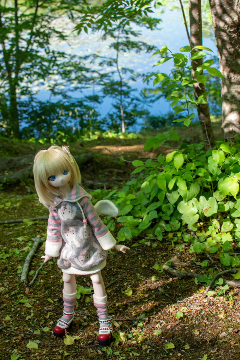 f:id:Moti:20190613214551j:plain