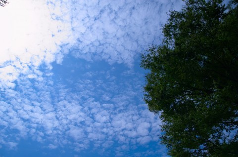 20100916054334